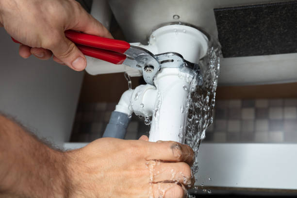 Best Ceiling water damage repair  in North Chicago, IL