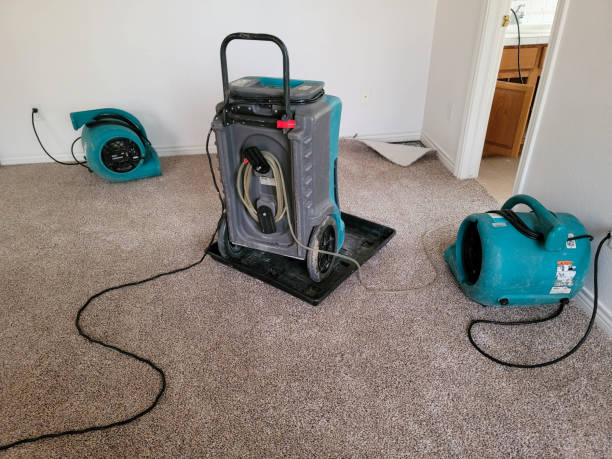 Best Water damage contractors near me  in North Chicago, IL