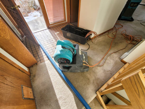 Best Basement water damage restoration  in North Chicago, IL