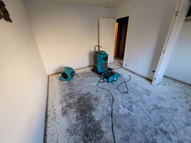 Best Carpet water damage restoration  in North Chicago, IL