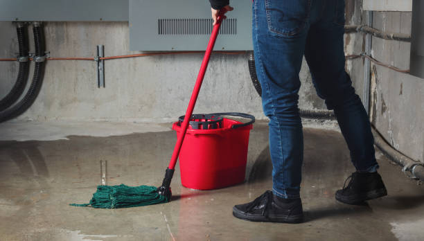 Best Professional water damage repair  in North Chicago, IL