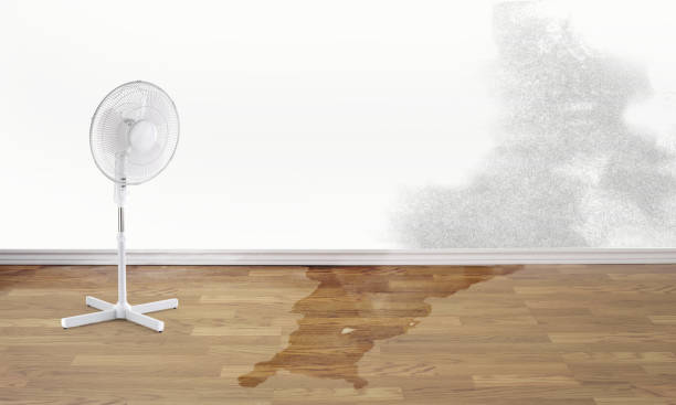 Best Water damage contractors near me  in North Chicago, IL