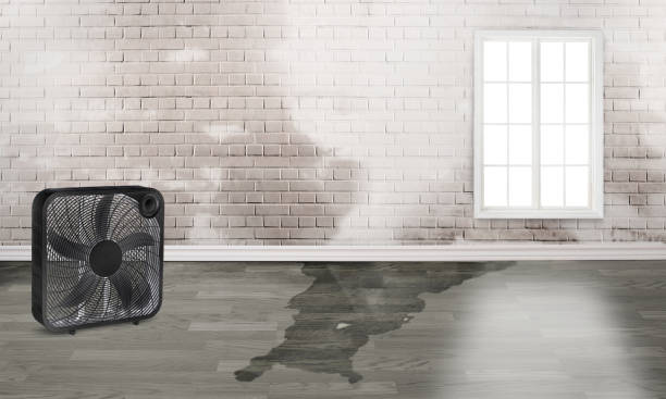 Local water damage restoration in North Chicago, IL