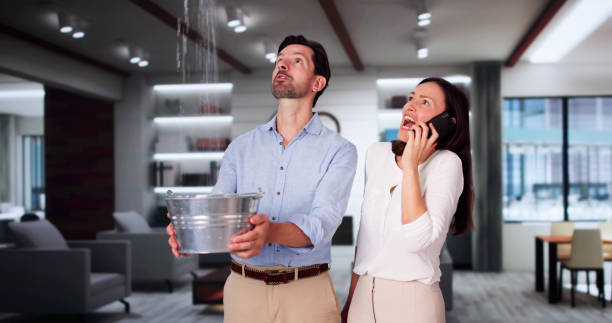 Reliable North Chicago, IL Water damage restoration Solutions