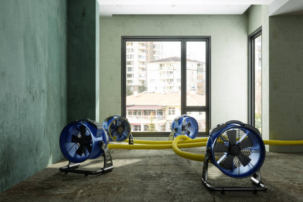 Water damage restoration experts in North Chicago, IL