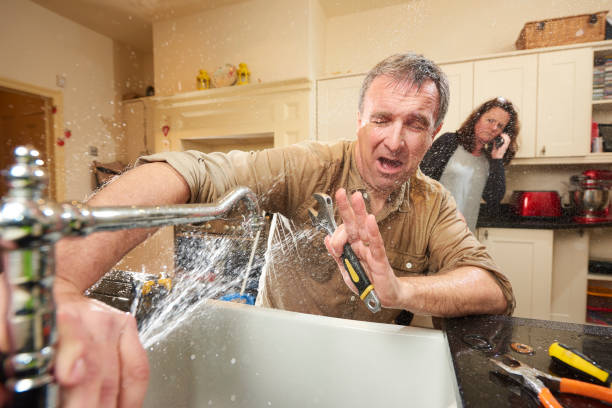  North Chicago, IL Water damage restoration Pros